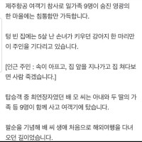 제주항공 사고 일가족 9명 사망한 집 강아지