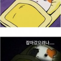 요즘 국민들 잠들기 전 습관