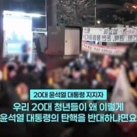 20대 내란견의 0010탄핵 반대이유