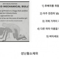 [19금] 로데오 체위