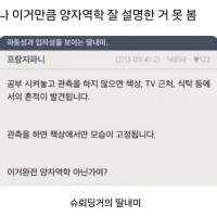 양자역학을 가장 잘 설명한 예시