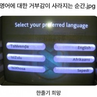 영어 울렁증이 싹 사라지는 순간.jpg