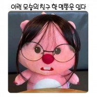 이렇게 생긴 친구 한명쯤 있다